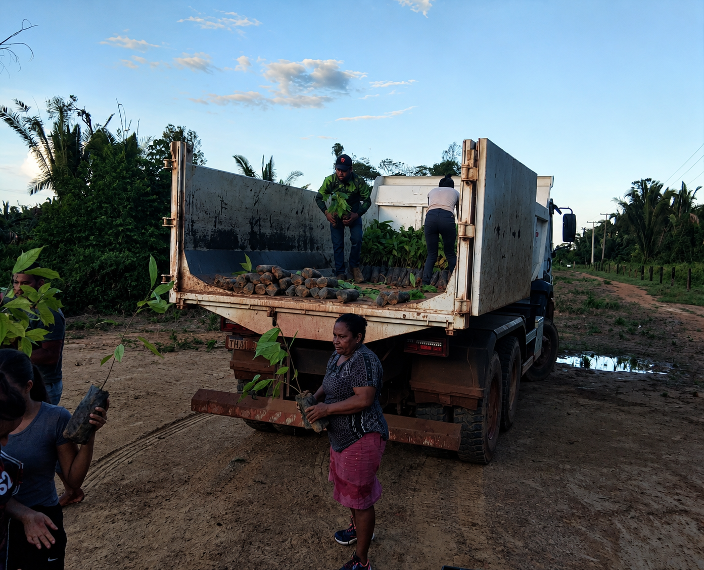 Para Clenilda, o transporte das mudas representa mais oportunidade de crescimento no campo